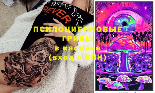 прущие крисы Балахна