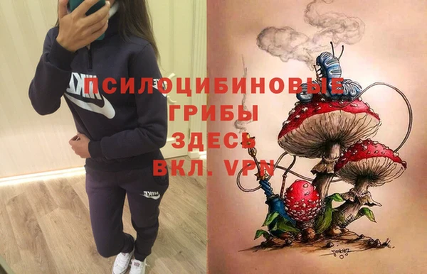 мяу мяу мука Баксан