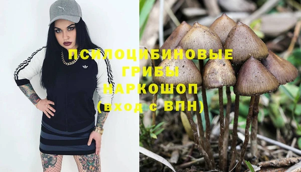 соль ск Балабаново