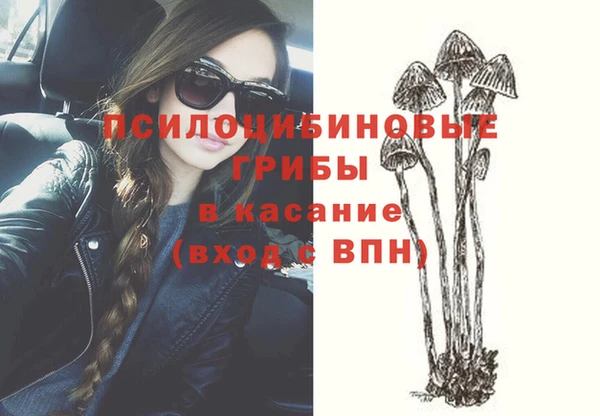 мяу мяу мука Баксан