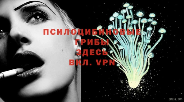 мяу мяу мука Баксан