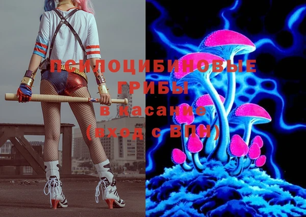 прущие крисы Балахна